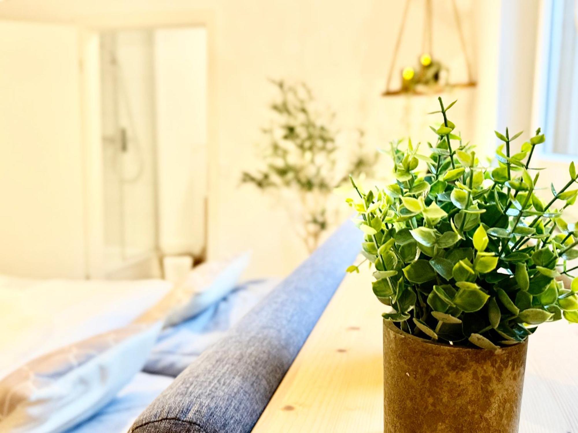Ferienwohnung Oberwinter Bei Bonn Bandorf エクステリア 写真